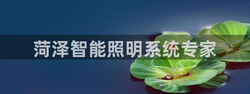 云顶国际服s10