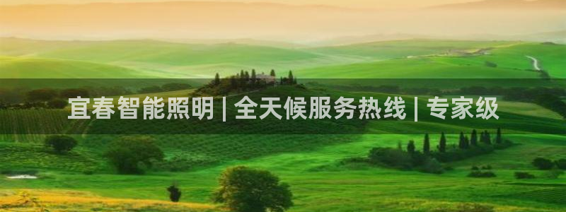 2418云顶