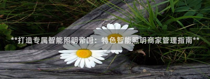 云顶国际服账号