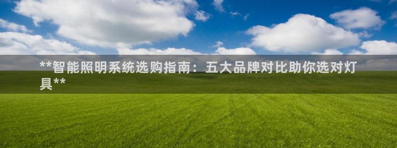 云顶国际提现多久到账户