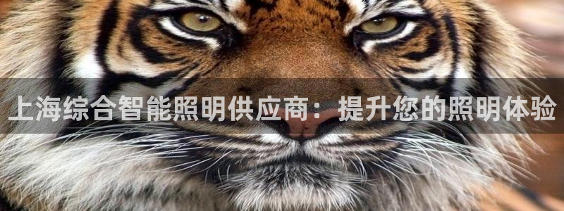 云顶国际网站可靠吗