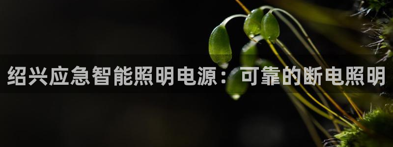 云顶国际yd333