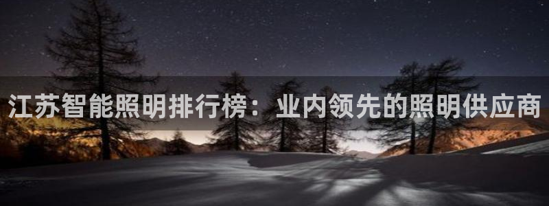 云顶国际晟荣协会会长是谁
