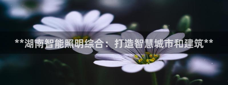 云顶国际麻将胡了多少张牌