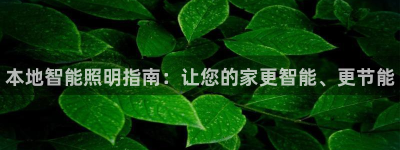 云顶国际体育官方网站入口