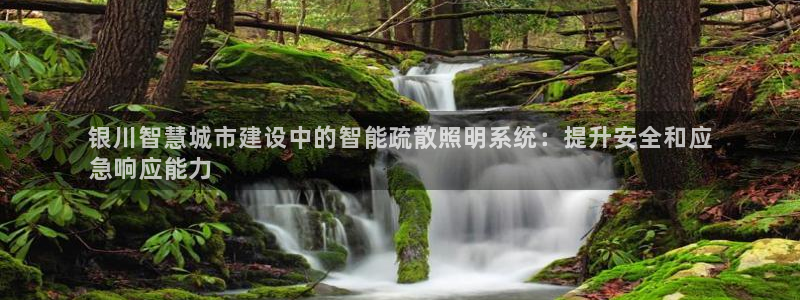 云顶集团简介概况