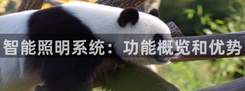 云顶国际老板是谁啊