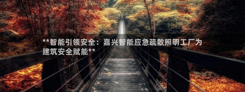 云顶国际app怎么样好用吗
