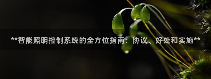 云顶集团林致华
