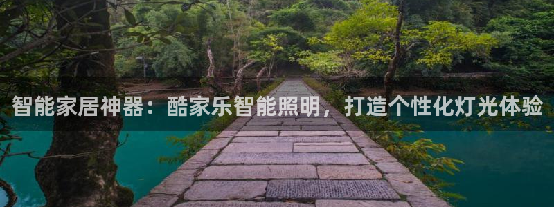 云顶集团有限公司简介资料
