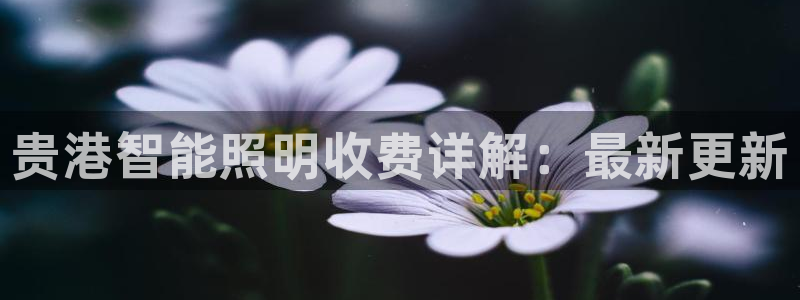 云顶国际官网app下载