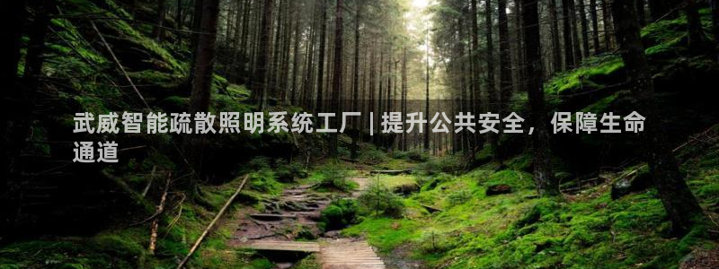 云顶游戏网站