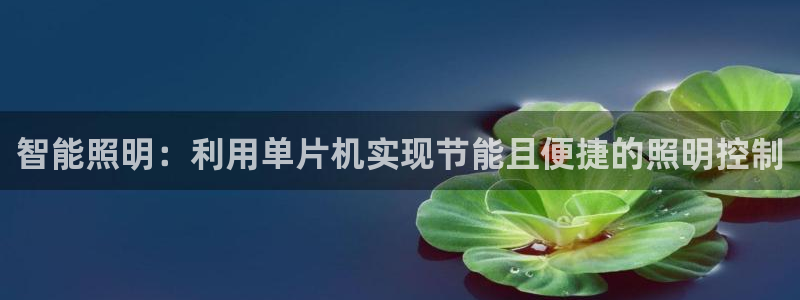 云顶国际公馆二手房出售