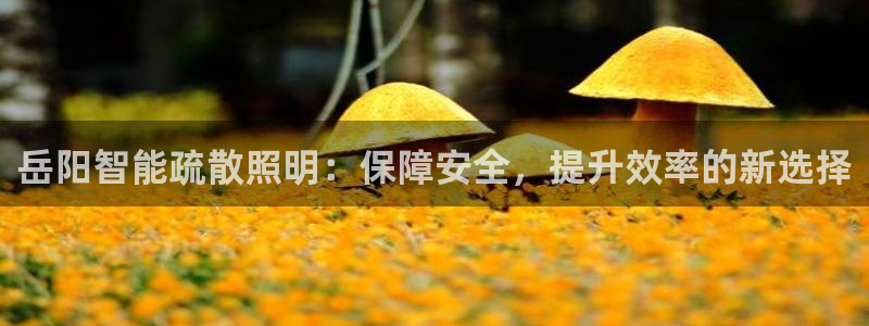 云顶国际中国官方网站下载