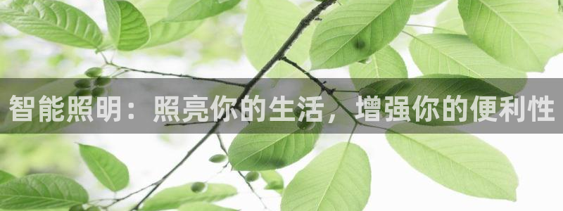云顶国际服更新s9