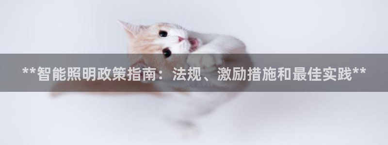 云顶国际服服务端错误