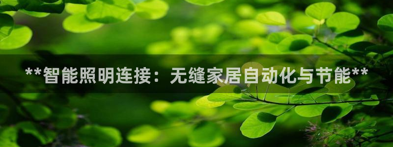 云顶国际app官方