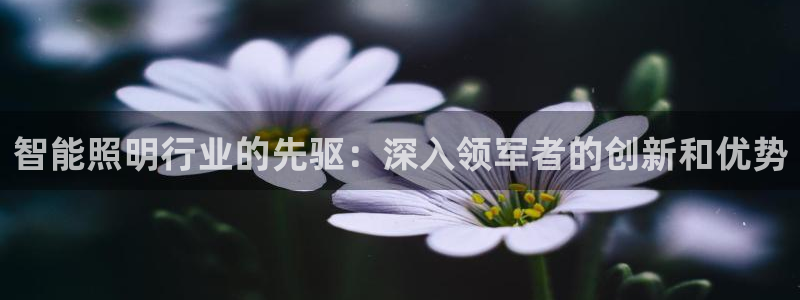 云顶国际服s9