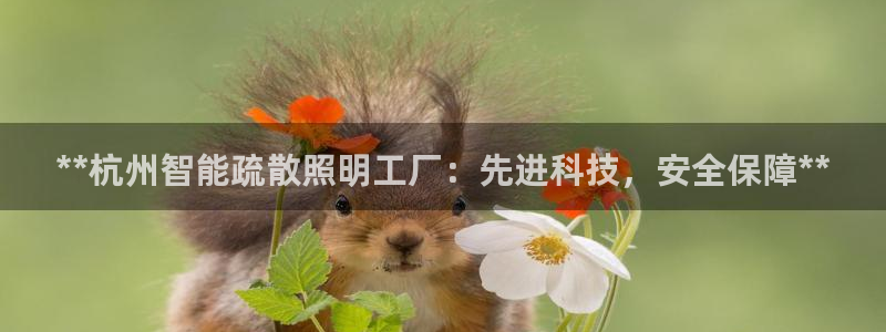 云顶小学国际班学费