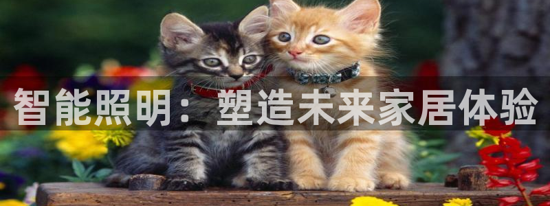 云顶国际俱乐部官网