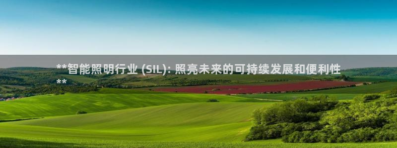 云顶国际服怎么选服务器