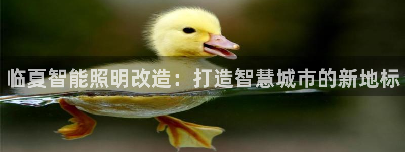 云顶国际游戏平台官网