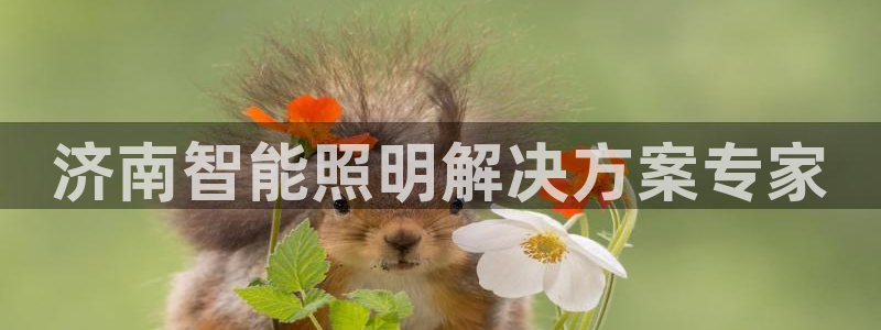 云顶集团专属APP9.0