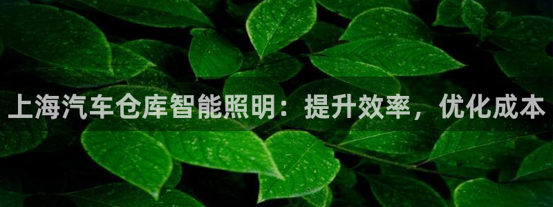 云顶国际服选哪个服务器好