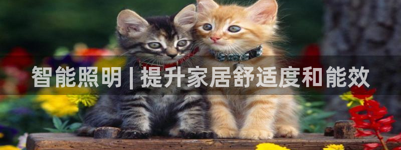 云顶国际平台网址多少