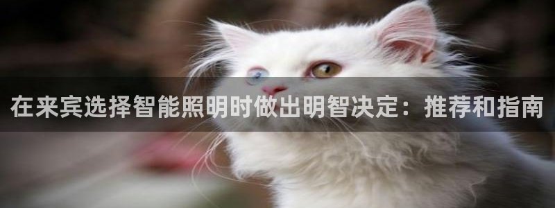云顶国际游戏平台排行榜