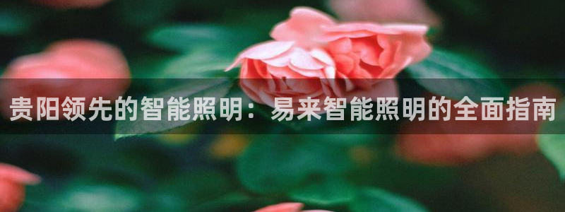 云顶国际装饰设计