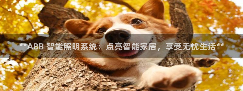 云顶国际公馆是公寓吗