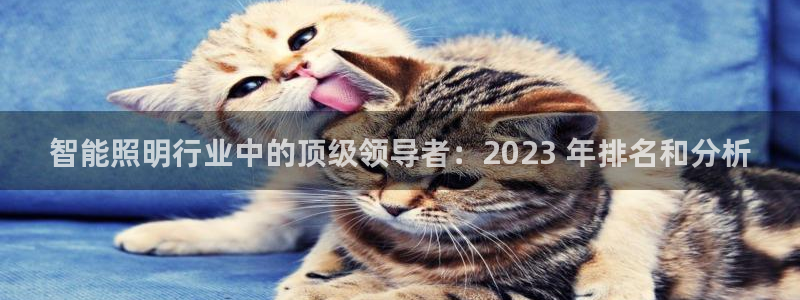 云顶pc