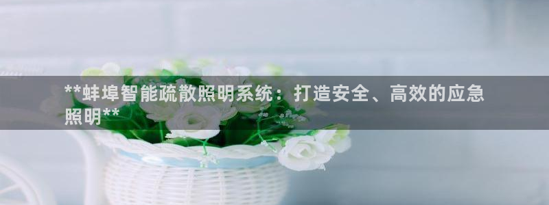 云顶集团简介概况