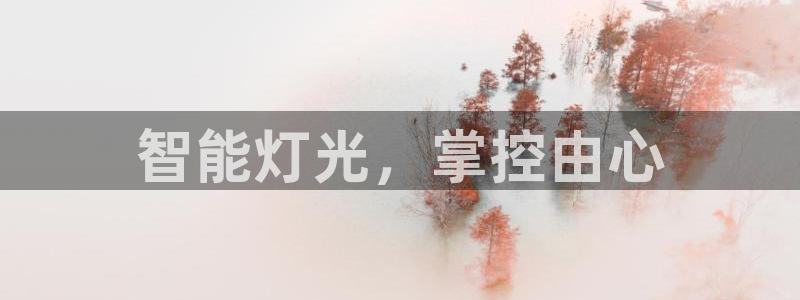 云顶国际服s9更新时间