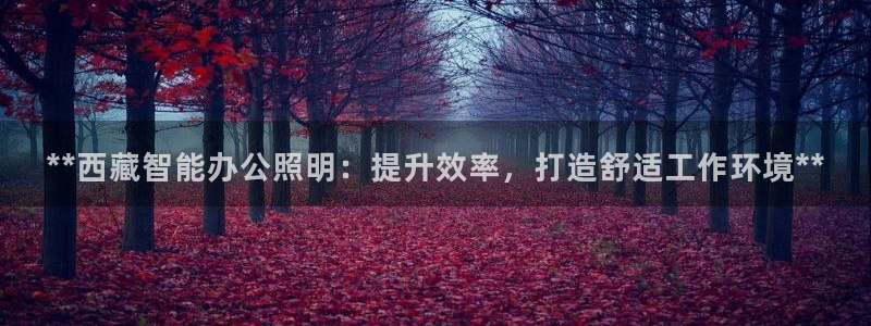 云顶小学国际班学费