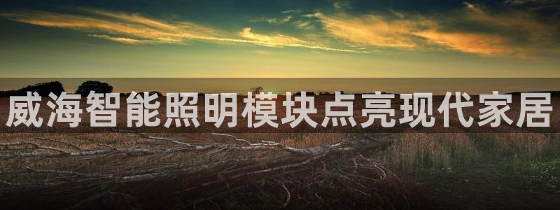 云顶集团3118acm官网