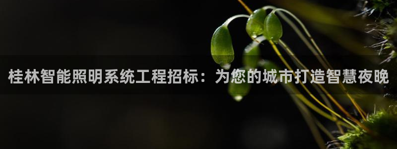 云顶国际官方网站下载手游