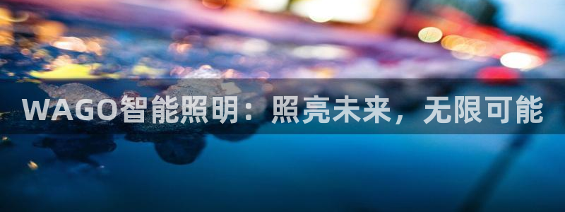 云顶国际服版本