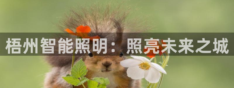 云顶国际旅行社电话