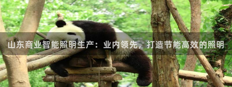 怎么下载云顶国际服