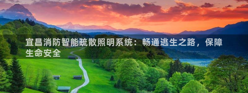 云顶集团简介资料