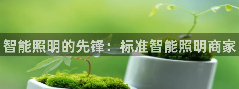 云顶国际不出款怎么办