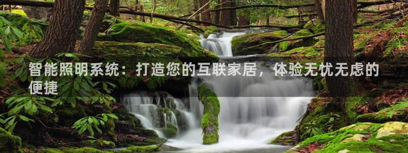 云顶集团有限公司招聘