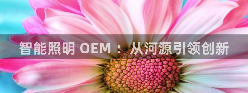 云顶国际服叫什么