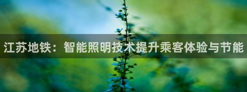云顶国际服和美服通的吗