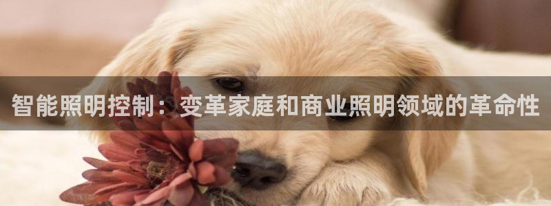 云顶集团官网电话客服