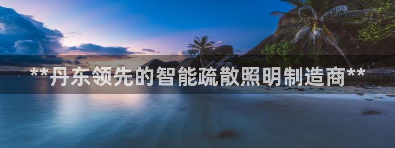 云顶国际公馆户型图